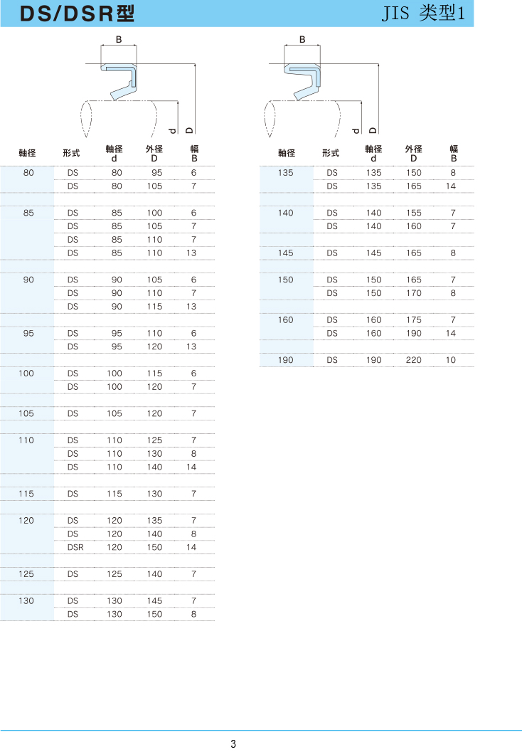 NDK油封 DS/DSR型規(guī)格表